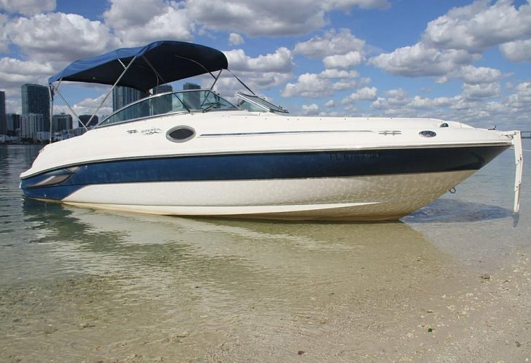 26' Sea Ray 10 Guest