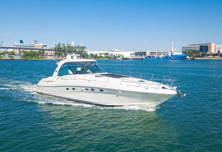 54 Sea Ray 13 guest